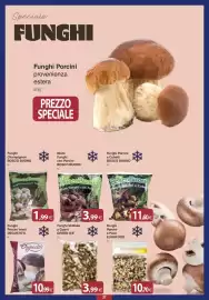 Volantino Docks Cash&Carry Pagina 27: Funghi Shiitake a Quarti GREEN ICE €3,99, Funghi Porcini Interi Degusto's €10,99