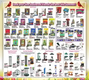 Ocean State Job Lot flyer week 37 Page 17: Morning Song peanuts €8,50, Wagners gourmet waste free wild bird food €12,99