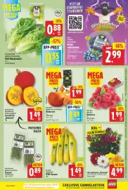 NP Discount Prospekt woche 38 Seite 3