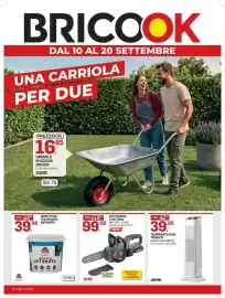Volantino Brico OK Pagina 1