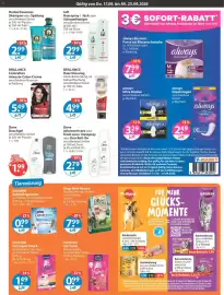 V Markt Prospekt woche 38 Seite 13