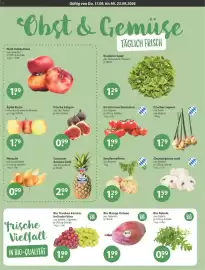 V Markt Prospekt woche 38 Seite 4