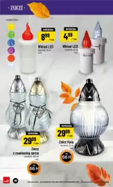Polomarket gazetka Strona 10: Wkład LED 12 cm €4,99, Wkład LED 16 cm €8,99