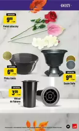 Polomarket gazetka Strona 17: Kwiat sztuczny €9,99, Gazon Dalia €9,99