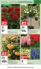 Catalogue Carrefour Market page 3: Rosier €9,00, Bulbes de fleurs €1,00