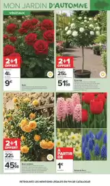 Catalogue Carrefour Market | LÀ OU LA VIE SE CULTIVE page 3: Rosier €9,00, Bulbes de fleurs €1,00
