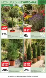 Catalogue Carrefour Market page 4: Palmier €28,99, Olivier tige €29,99