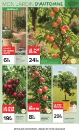 Catalogue Carrefour Market | LÀ OU LA VIE SE CULTIVE page 5