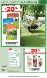 Catalogue Carrefour Market page 9