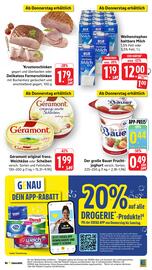 Edeka Stenger Prospekt Seite 40