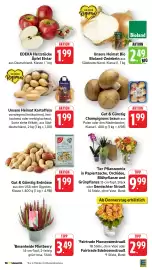Edeka Stenger Prospekt Seite 11