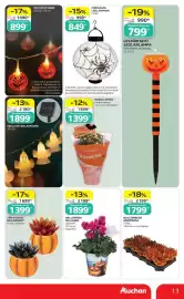 Auchan akciós újság hét 37 Oldal 13