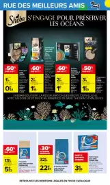Catalogue Carrefour page 60: PURINA ONE Sachet repas pour chats €3,99, PURINA ONE Croquettes spécial chats stérilisés €22,67