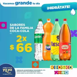 Catálogo Kiosko Página 14