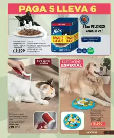 Catálogo Nova Venta Página 113