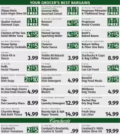 Caraluzzi's flyer week 37 Page 6: Cascade dish detergent €4,99, Classico pasta sauce €6,00