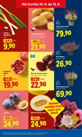 Lidl leták Strana 13: Švestky €24,90, Bio řepa červená vařená €22,90