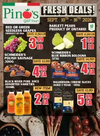 Pino's flyer week 37 Page 5