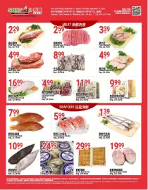 SunFood Supermarket flyer week 37 Page 4: Fresh Sea Urchin €29,99, Ground Lean Pork €2,59