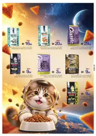 Ajman Market catalogue week 37 Page 30