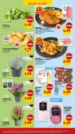 PENNY Prospekt woche 38 Seite 32