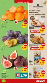 PENNY Prospekt woche 38 Seite 3