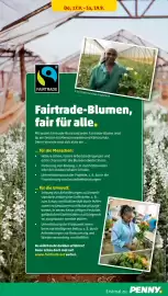 PENNY Prospekt woche 38 Seite 31