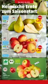 PENNY Prospekt woche 38 Seite 6