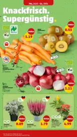 PENNY Prospekt woche 38 Seite 2