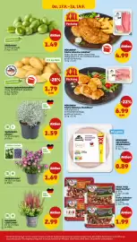 PENNY Prospekt woche 38 Seite 32