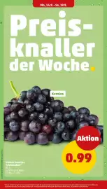 PENNY Prospekt woche 38 Seite 4