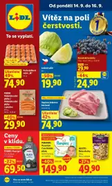 Lidl leták Strana 1: KANADSKÉ BORŮVKY €29,90, Alesto KEŠU OŘECHY €49,90