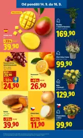 Lidl leták Strana 17: Lámankový chléb €29,90, MÁSLOVÝ TWISTER €14,90
