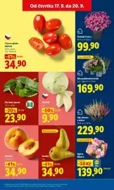 Lidl leták Strana 11: Sushi California €99,90, Tuňák žlutoploutvý €39,90
