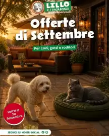 Volantino Lillo e i Vagabondi Pagina 1