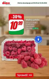 Dino gazetka Strona 7: Maliny polskie €10,99