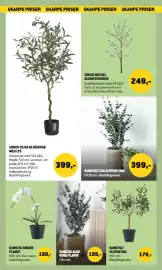 XL-BYG tilbudsavis Side 55: Kunstigt Eucalyptus Træ €399,00, Sirius Michel blomstergren €249,00