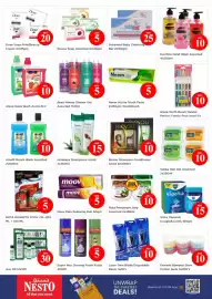 Nesto catalogue Page 11