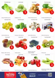 Nesto catalogue Page 2