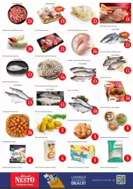 Nesto catalogue Page 3