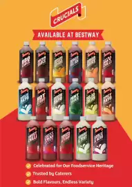 Bestway leaflet Page 9