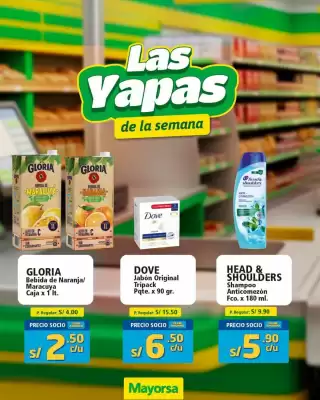Catálogo Mayorsa (válido hasta 17-09)