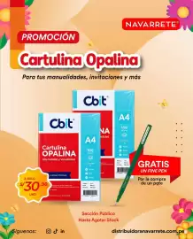 Catálogo Distribuidora Navarrete Página 1