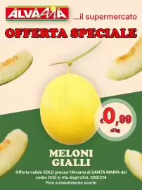 Volantino Alvama Pagina 12