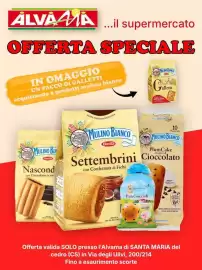 Volantino Alvama Pagina 13