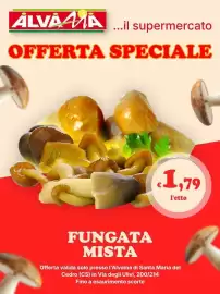 Volantino Alvama Pagina 3