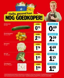 Hoogvliet folder week 38 Pagina 13