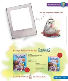 Vedes Prospekt Seite 14