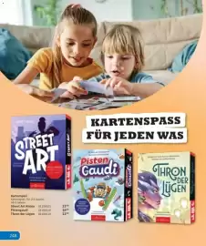 Vedes Prospekt Seite 249