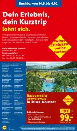 Lidl Reisen Prospekt Seite 2